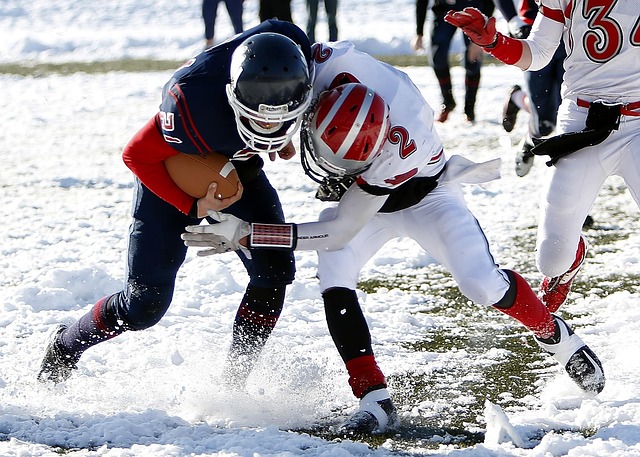 马术项目中 马术项目中
